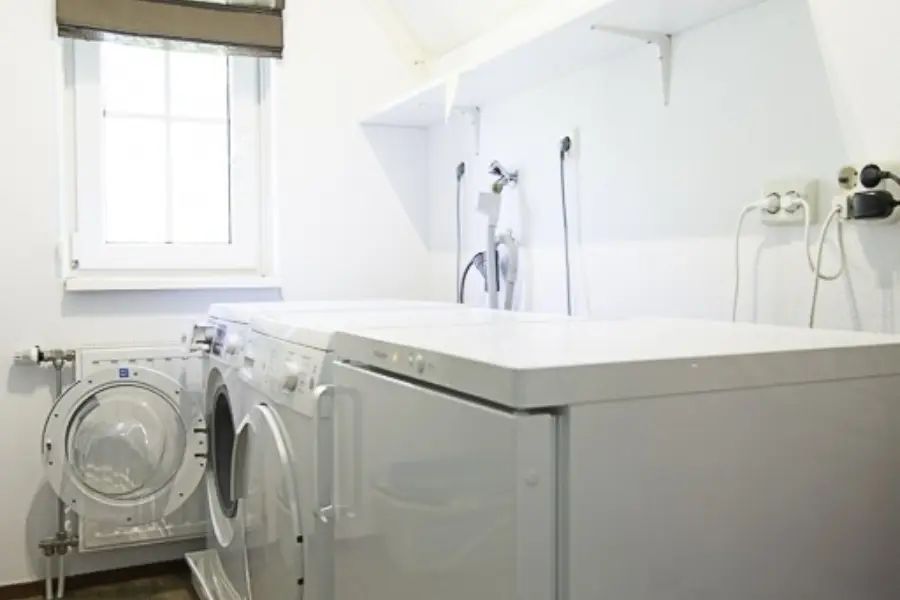 Fazant 2833 of 45 29