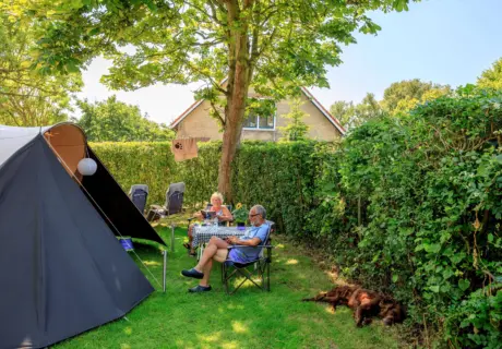 Ruime kampeerplaats met tent, zitje en hond op de camping