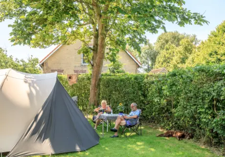 Ruime kampeerplaats met tent, zitje en hond op de camping