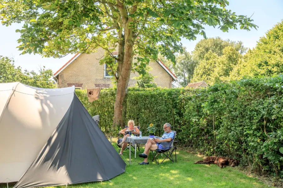 Ruime kampeerplaats met tent, zitje en hond op de camping