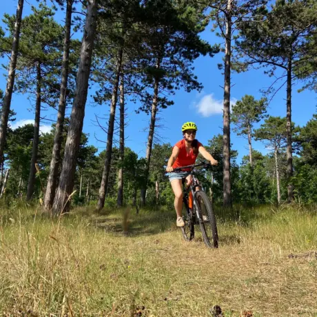 Mtb westerschouwen