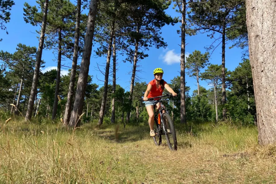 Mtb westerschouwen