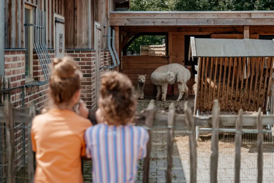 Kinderboerderij