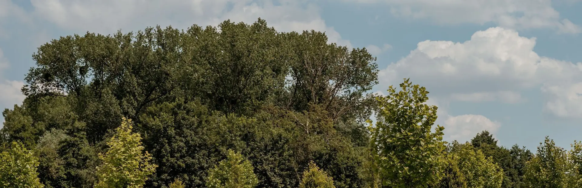 Sannecreu c3 ablsphotography camping 27tgeuldal 6