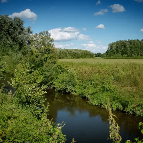 Langs de geul camping c2 b4t geuldal 286 29