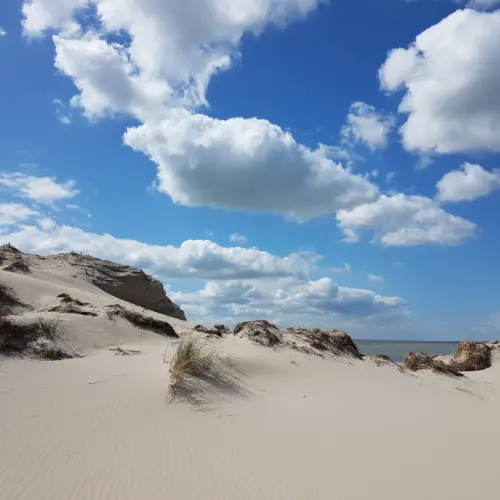 westenschouwen, duinen, strand