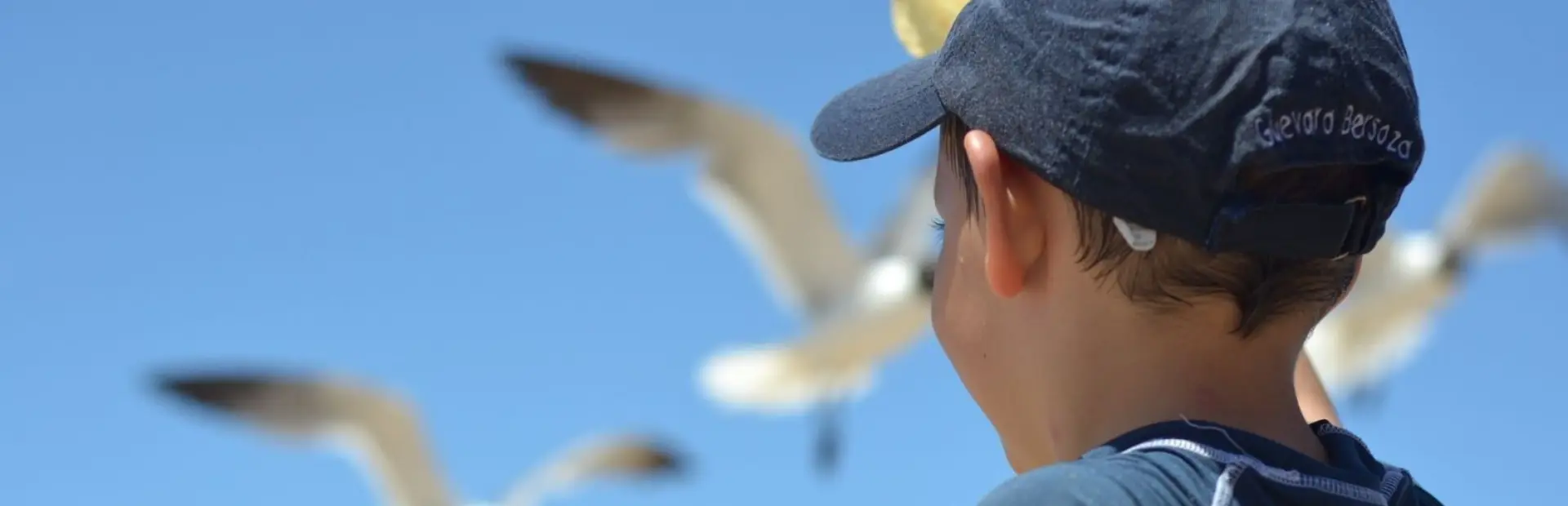Jongetje uitkijkend naar meeuwen in Zeeland