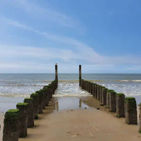 Nieuw-Haamstede -strand2