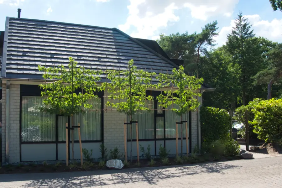 Camping De Haeghehorst-Ermelo-appartement-voorkant2jpeg