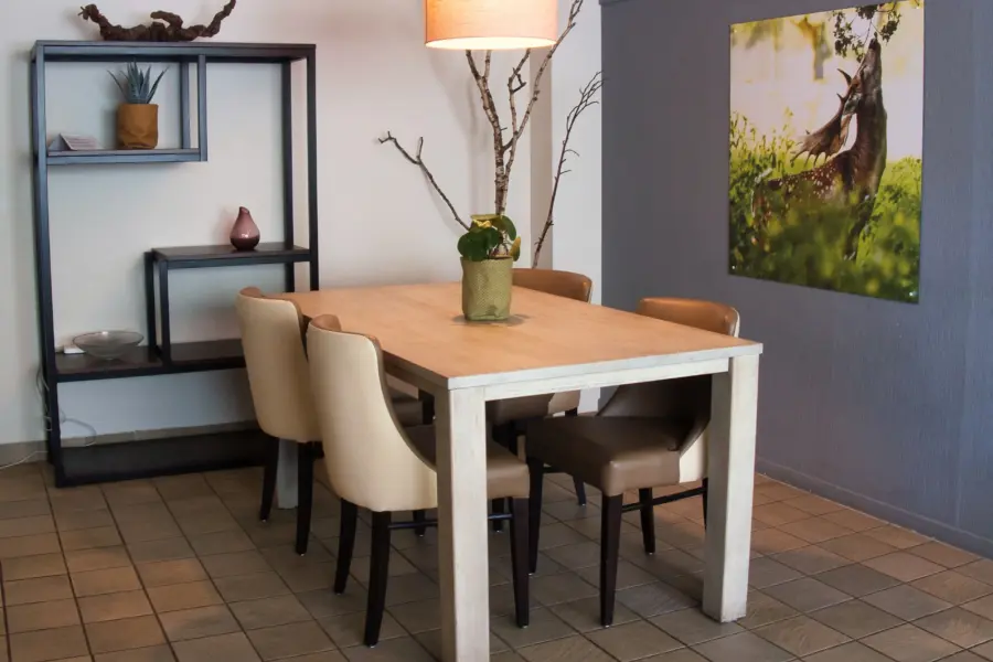 Camping De Haeghehorst-Ermelo-appartement-woonkamer