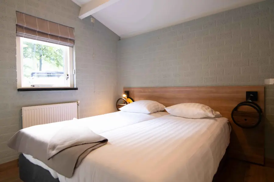 Camelia en Crocus Type C 7