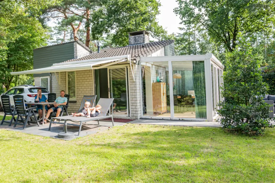 Cameliaencrocus typec1