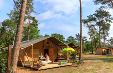 Safaritent - Camping De Haeghehorst Safaritent buiten laantje