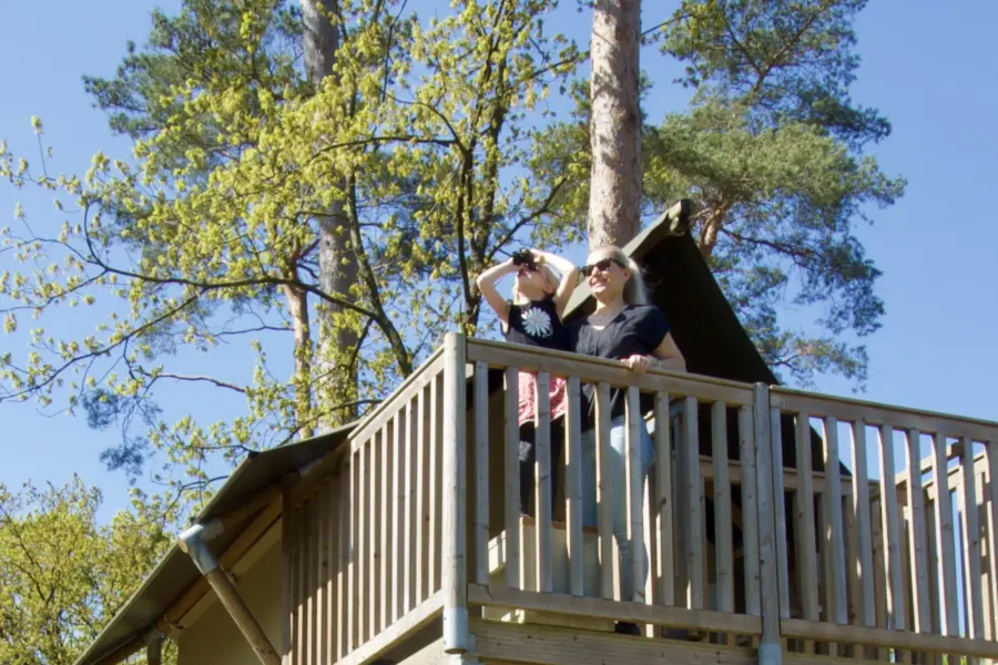 Camping De Haeghehorst- Boszicht - wild spotten