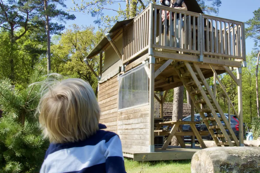Camping De Haeghehorst-Boszicht -uitzicht