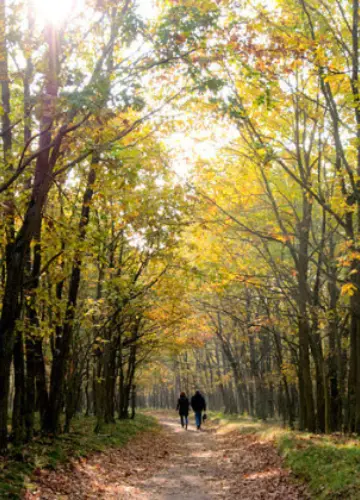 WANDELEN 620x420