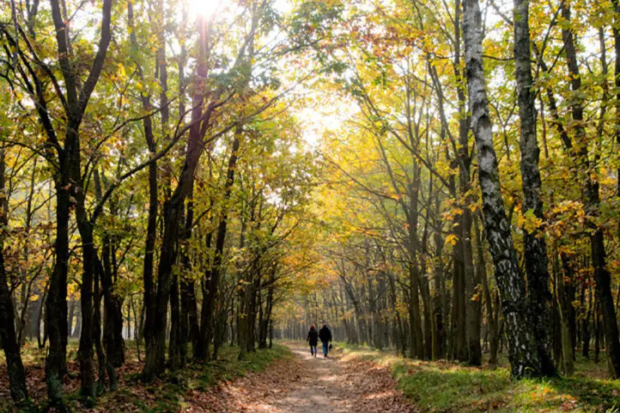 WANDELEN 620x420