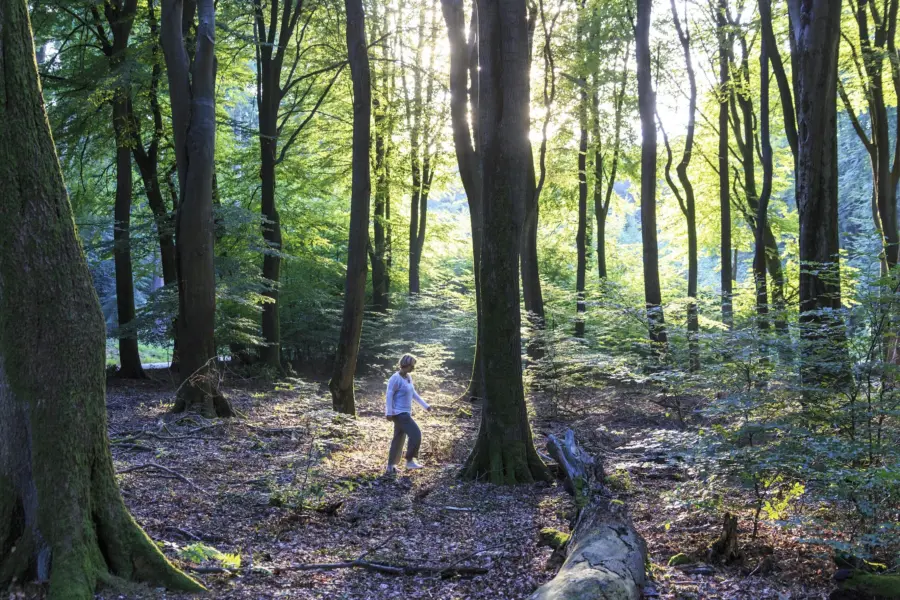 Wandelen - Jurjen Drenth