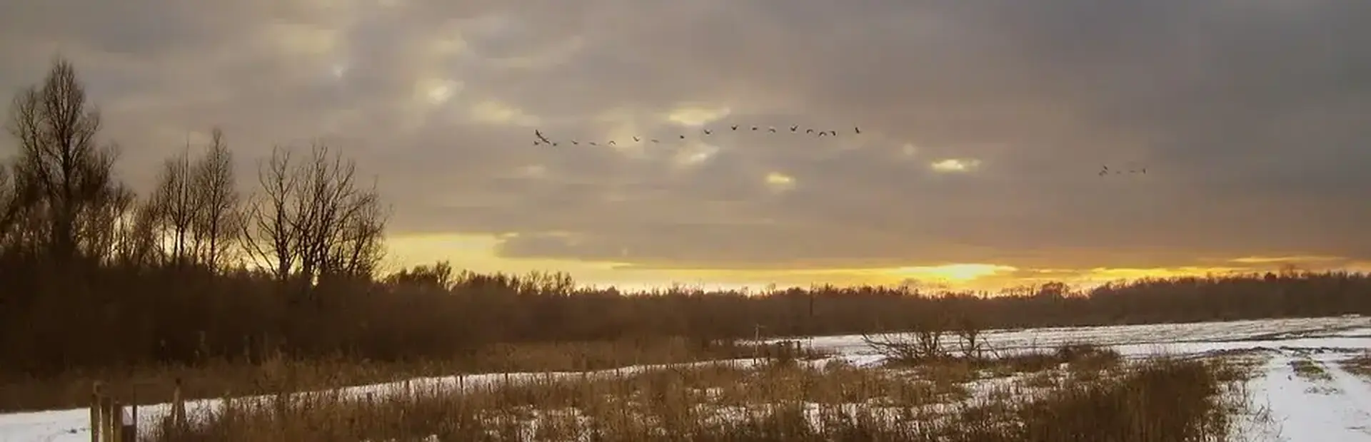Oostvaardersplassen 2