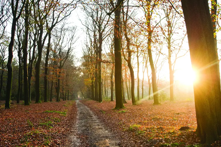 Hoge veluwe hotels garderen