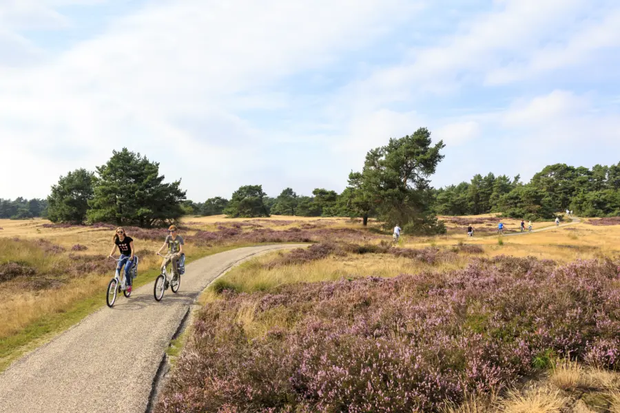 Fietsen in de omgeving van Camping en bungalowpark De Haeghehorst op de Veluwe, Gelderland