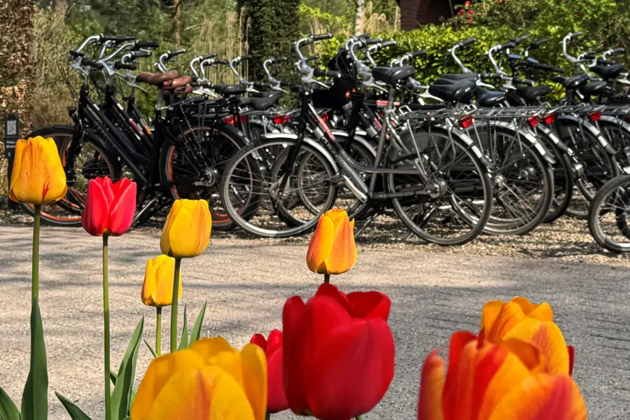 EH Fietsverhuur 2 Camping De Haeghehorst