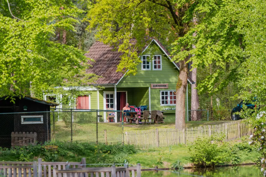 Bosgalow groen huisje