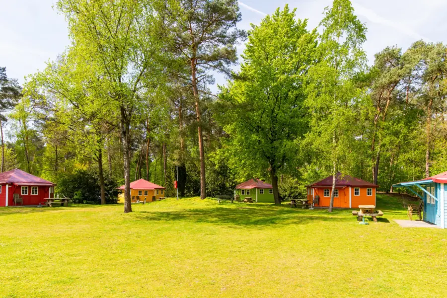 Kampeerbungalows heldense bossen