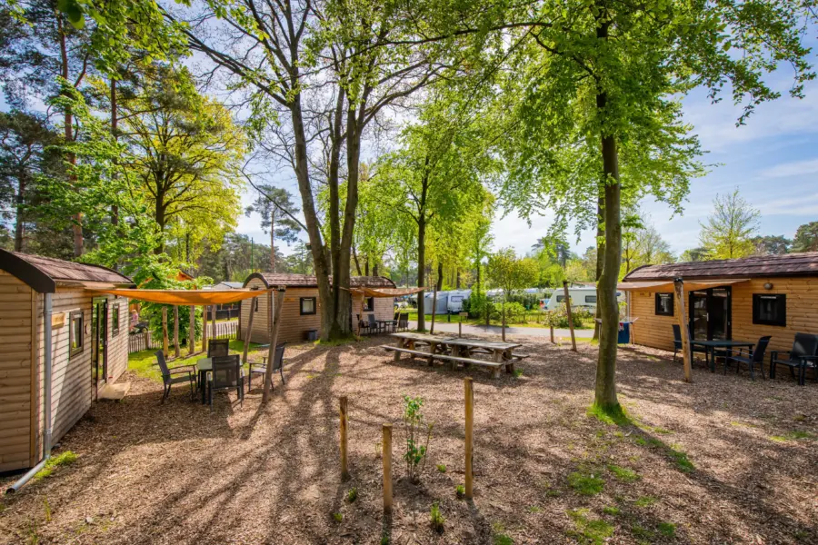 Woodlogdes veld heldense bossen