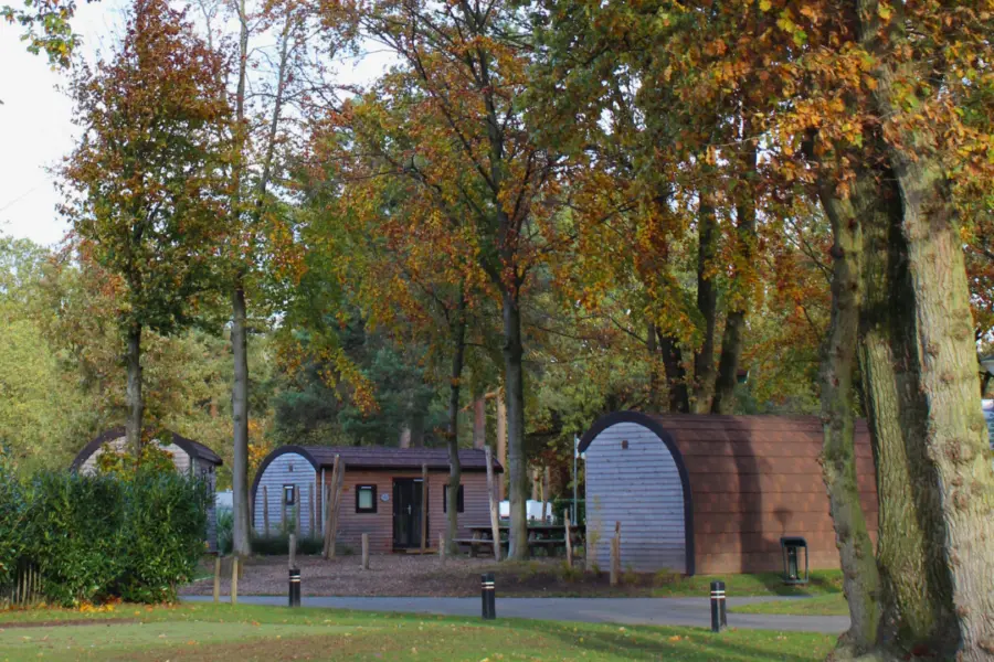 HB verhuur woodlodges herfst bewerkt