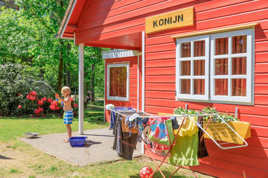 bosbungalow 4 personen