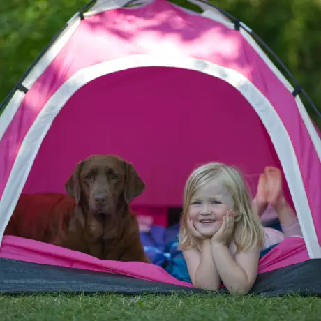 Hondencamping de heldense bossen