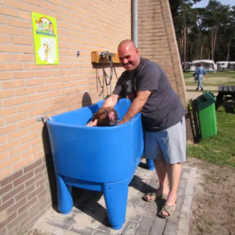 Hondendouche met hond