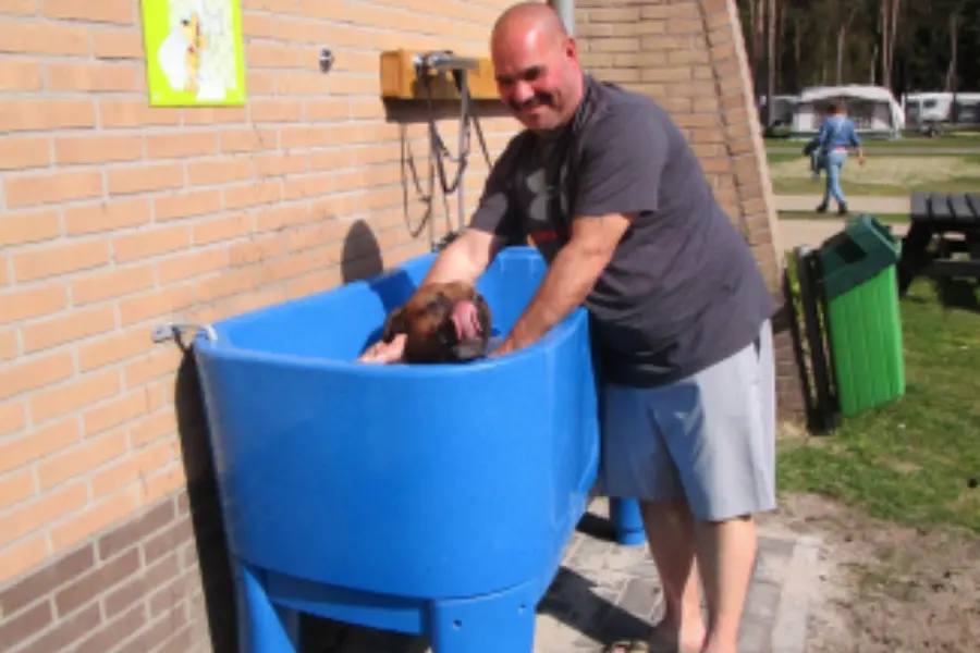 Hondendouche met hond