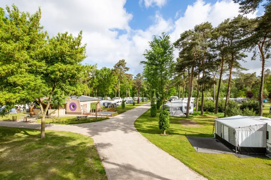 Kamperen sanitair heldense bossen