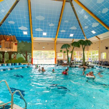 Zwembad gasten heldense bossen