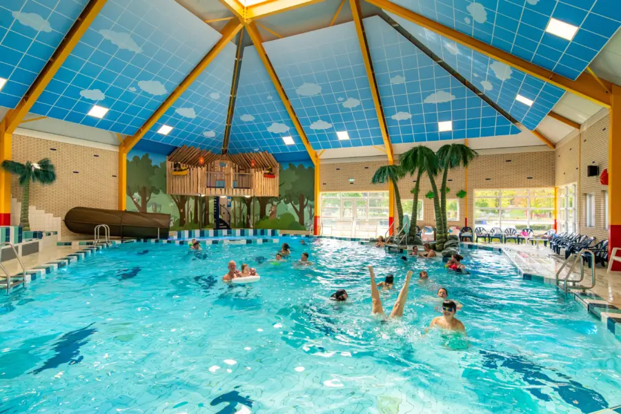 Overdekt zwembad heldense bossen