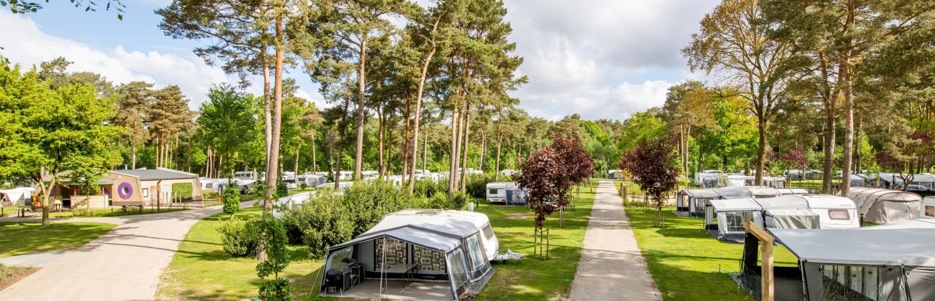 Kamperen bij De Heldense Bossen