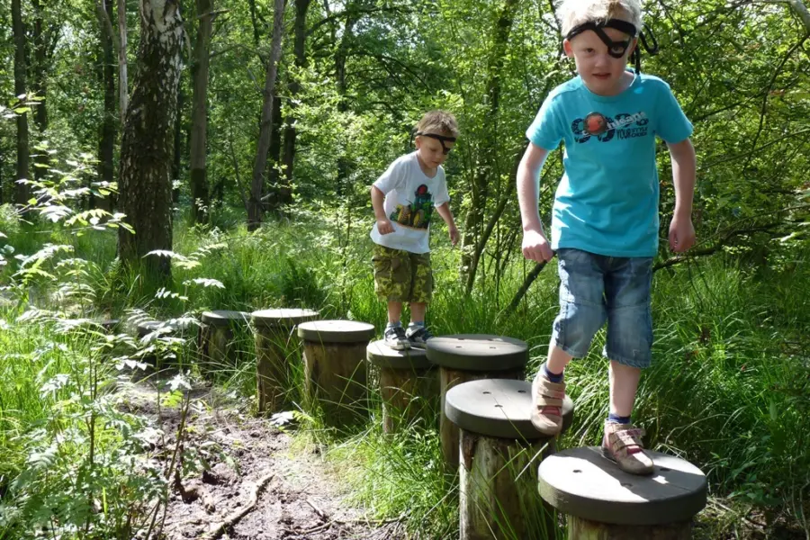 Nationaal Park De Groote Peel 2
