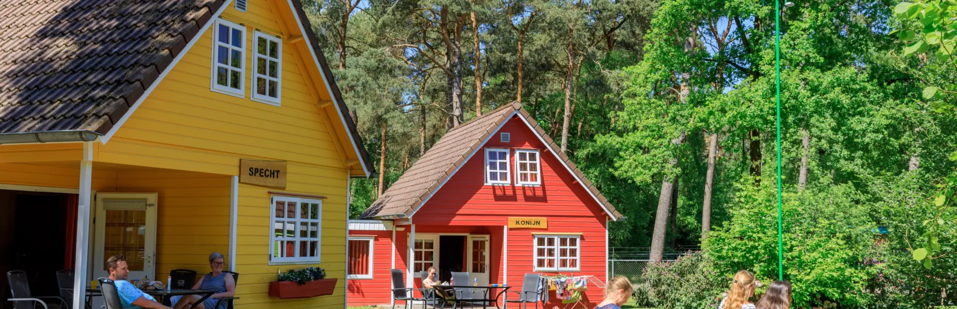 Heldense Bossen - LimburgCover optie 1