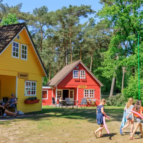 Heldense bossen limburgcover optie 1