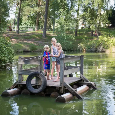 Heldense Bossen - LimburgTrekvlot (2)
