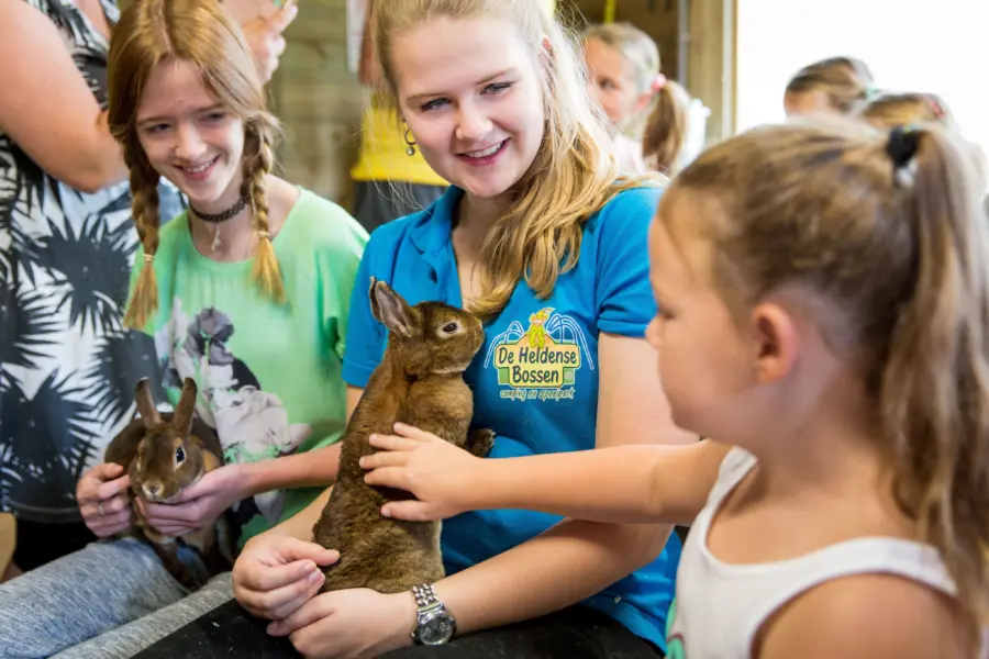 Heldense Bossen - LimburgKinderboerderij (4)