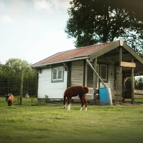 Holterberg Dierenparkje