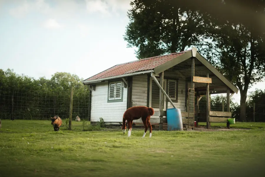 Holterberg Dierenparkje