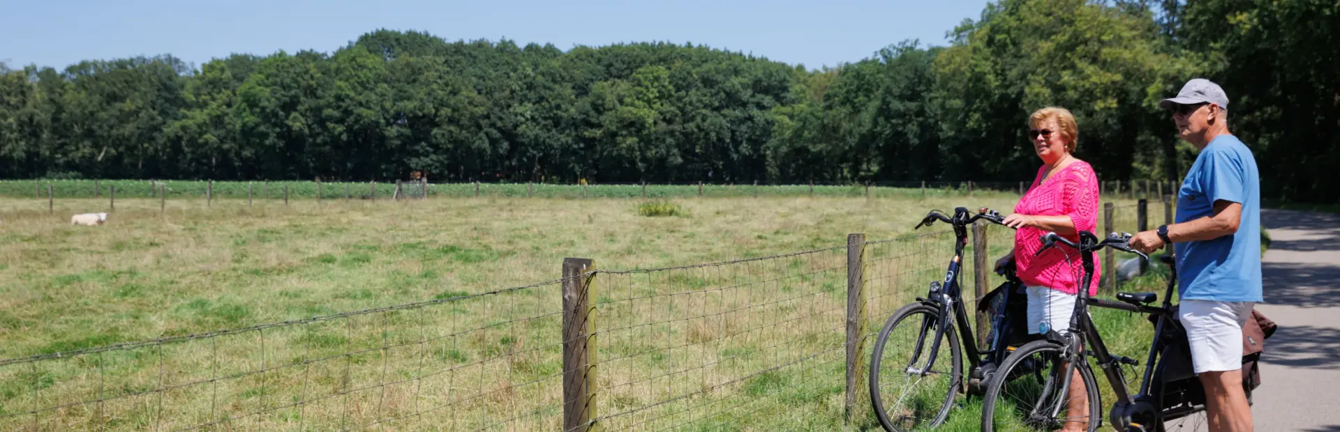 123PIX_TRH_camping-7