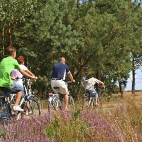 Fietsen/Fietsverhuur