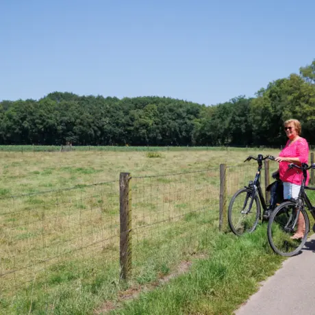 123PIX_TRH_camping-7