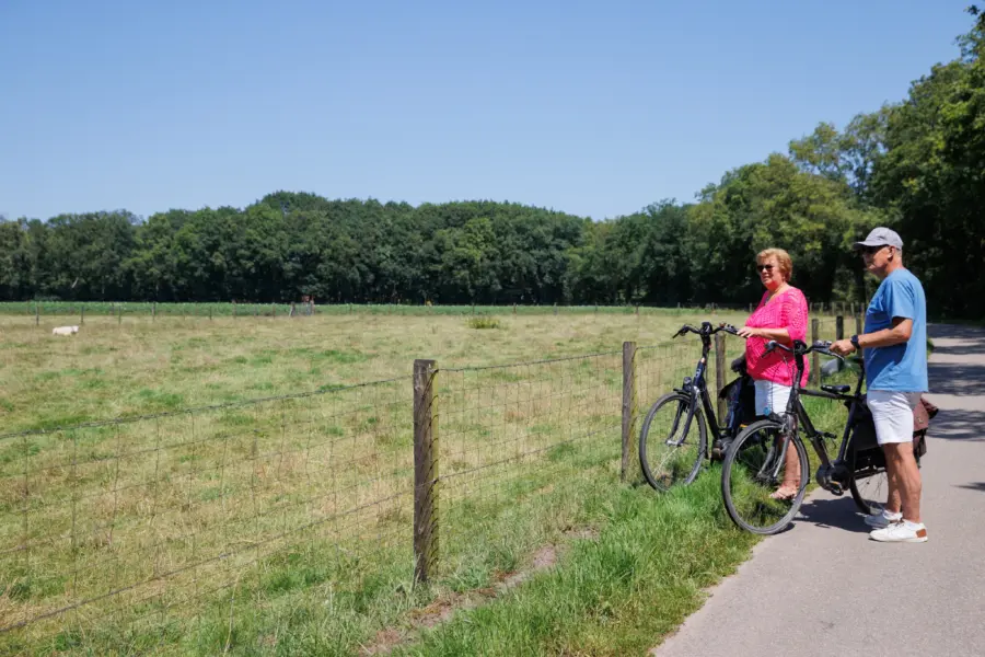 123pix trh camping 7