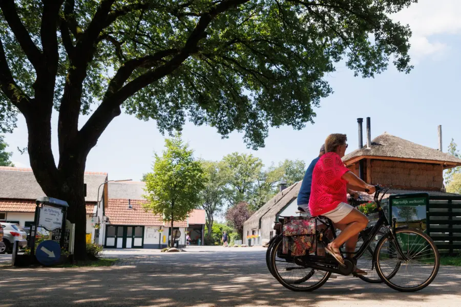 123pix trh camping 25